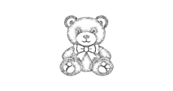 Sketch teddy bear icon animation - smooth progressive reveal