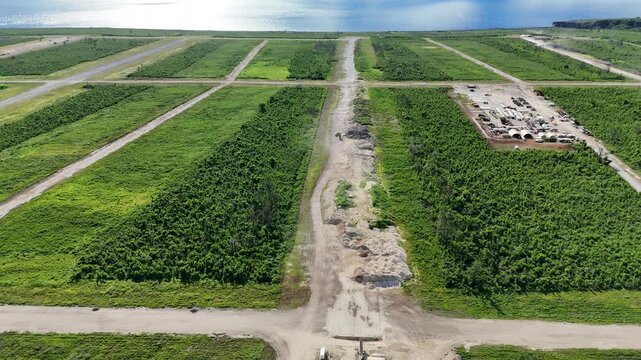 Aerial view of North Field Base with historic runways and surrounding lush vegetation in Northern Tinian, Tinian, Northern Mariana Islands.