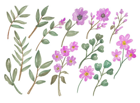 Big Set watercolor elements - wildflowers, purple flowers, green leaves. Collection garden and wild, forest herbs, branches on paper texture. Botanic illustration