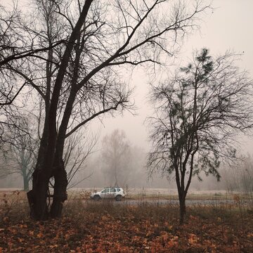  Scenic view of a car traveling in bad weather conditions during late autumn