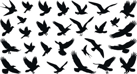 Obraz premium Collection of flying bird silhouettes vector set featuring black shapes of pigeons gulls crows and eagles in flight isolated on white background