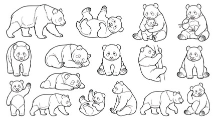 Giant panda bear line art collection, set of 15 cute panda character illustrations in various poses, black and white vector animal sketches for coloring © Ch