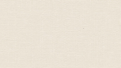 white canvas texture