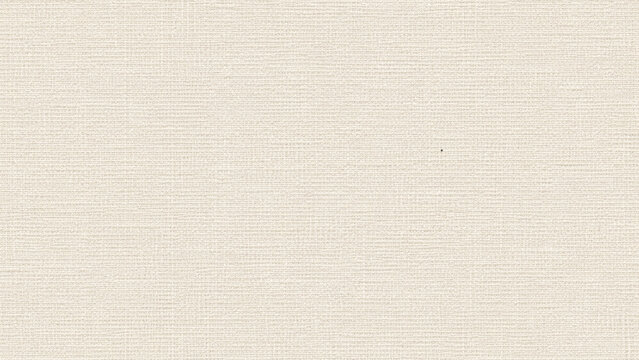 white canvas texture