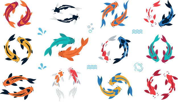 Flat vector koi fish illustration set featuring pairs of colorful Japanese carp swimming together with water ripples isolated on white background
