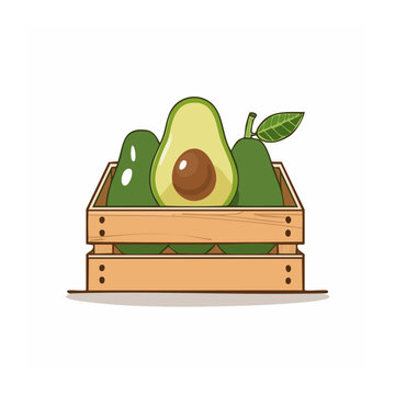 Avocado in Wooden Crate Flat Vector Illustration