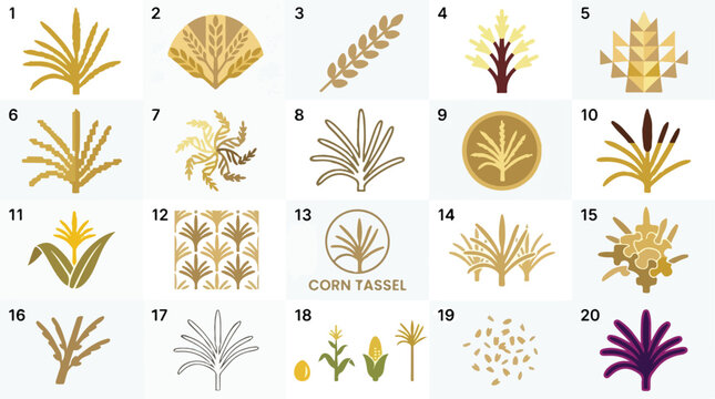 Golden corn tassel icons and grain symbols, set of 20 agricultural vector elements, organic farm harvest branding graphics for food packaging