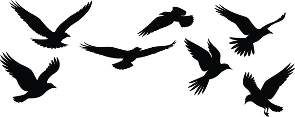 Fototapeta premium Flock of flying crows black silhouette group, migratory raven birds vector illustration design elements