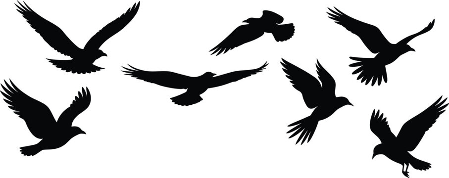 Flock of flying crows black silhouette group, migratory raven birds vector illustration design elements