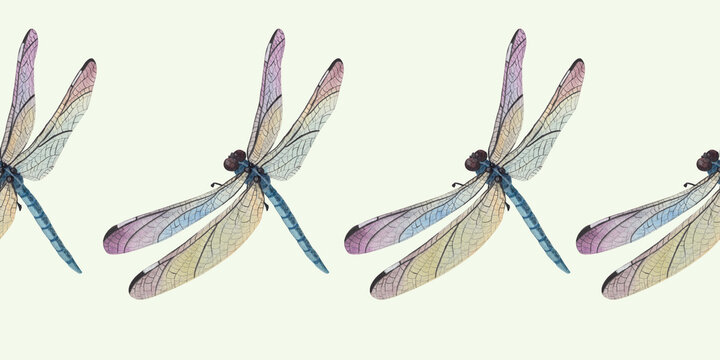 Seamless dragonfly nursery border print with watercolor vintage flying insects