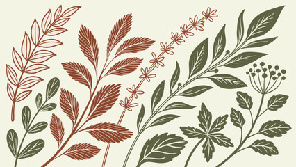 Fototapeta premium Botanical foliage illustration with elegant wild leaves and branches, decorative nature collection in earthy tones for floral design, prints, packaging and organic branding
