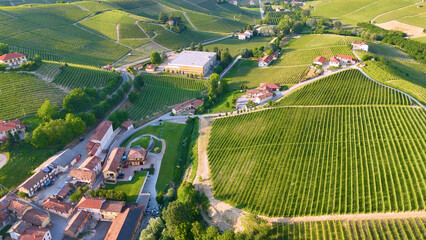 Fototapeta premium Aerial View of Barolo Village and Lush Vineyards in Piedmont Italy