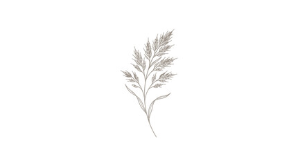 Fototapeta premium Minimalist Wheat Stalk Line Art Vector