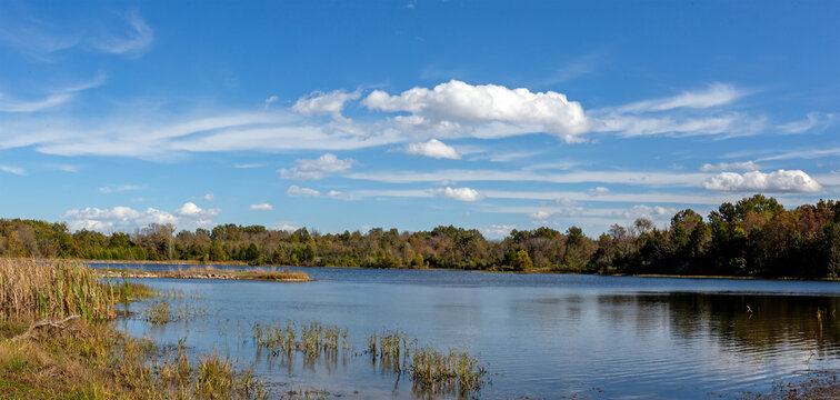 Calm lake under a bright blue sky dotted with fluffy white clouds, surrounded by a dense tree line at the August A. Busch Memorial Conservation Area in St. Charles, Missouri