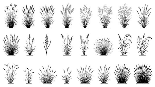 Hand Drawn Prairie Grass Elevation Symbols Vector Set for Naturalistic Landscape Design