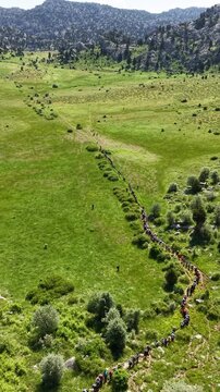 Top down view of mountaineers trekking in single file through green spring highlands