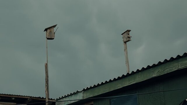 Birdhouses in an authentic rural setting. Houses for birds made of wood.