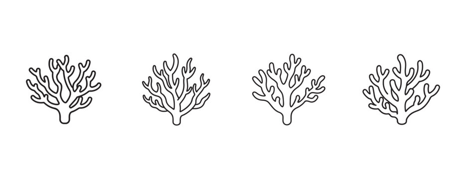 coral reef plants side by side on white background