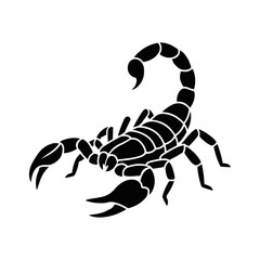 Fototapeta premium Scorpion Illustration