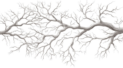 Fototapeta premium Intricate network of bare tree branches against a white background, detailed illustration