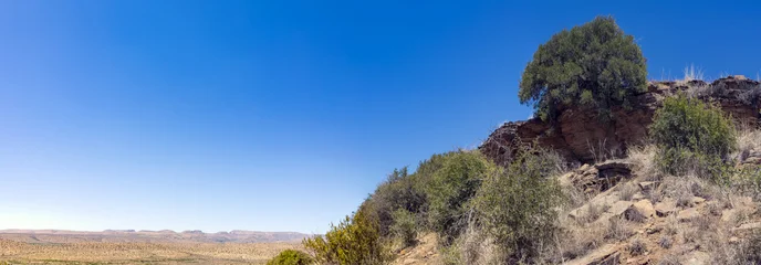 Arid Natural beauty in Karoo region, South Africa © Sunshine Seeds