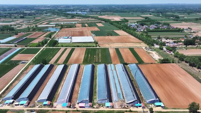 Aerial view of farmland with greenhouses rows and neatly arranged crop fields