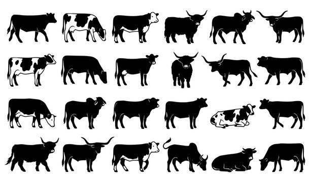 Hand Drawn Cow Silhouette Vector Set Featuring Different Cattle Breeds on White Background