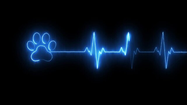 glowing neon Dog Paw Print Heartbeat Line icon Veterinary Healthcare ECG. Heartbeat icon with Paw Print Symbolizing Animal Health and Care. representing dedication in veterinary care and commitment.