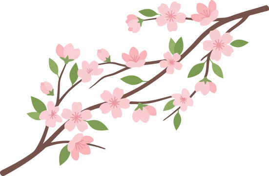 Beautiful blooming cherry blossom branch with pink flowers and green leaves in a simple artistic hand drawn illustration style for spring and nature designs