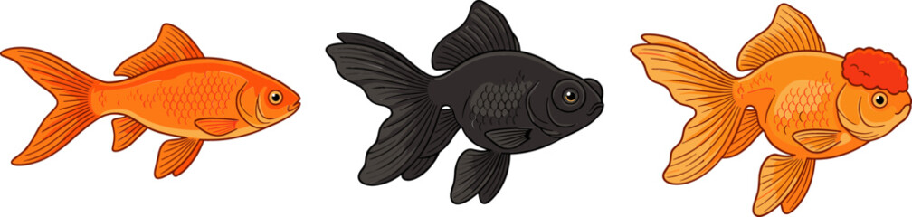 Goldfish Varieties Vector Icon Set Featuring Common Orange Goldfish Black Moor Telescope Eye and Oranda Redcap Fish for Aquarium Graphic Designs © MdMostakin