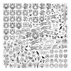 Fototapeta premium Hand drawn tiger illustration set, black and white jungle animal vector icons, wild cat heads and tropical nature elements for safari branding