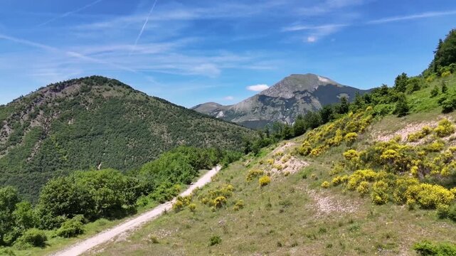 Sentiero di terra che attraversa un pendio montano con cespugli di ginestra in fiore, erbe perenni e vegetazione spontanea tipica degli ambienti montani