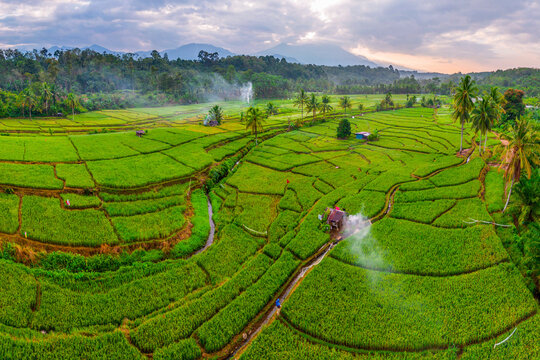 Aerial view of Taba Tembilang rice terraces with lush green paddies, small huts, and irrigation channels in Arga Makmur, Bengkulu, Indonesia.
