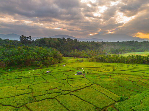 Aerial view of Taba Tembilang rice terraces surrounded by lush tropical trees and distant mountains under a dramatic sunset sky in Arga Makmur, Bengkulu, Indonesia.