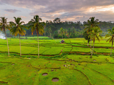 Aerial view of Taba Tembilang rice terraces with lush green paddies, tall palm trees, and a small hut under a soft sunset sky in Arga Makmur, Bengkulu, Indonesia.