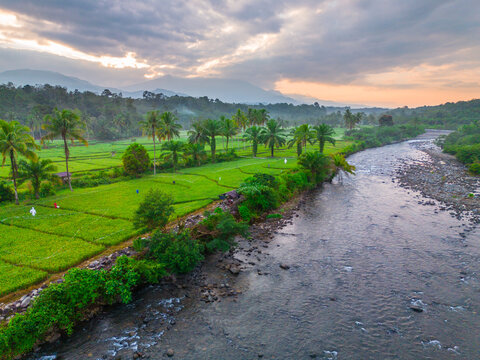Aerial view of Taba Tembilang featuring a winding river flowing beside vibrant green rice fields and rows of palm trees under a cloudy sky in Arga Makmur, Bengkulu, Indonesia.