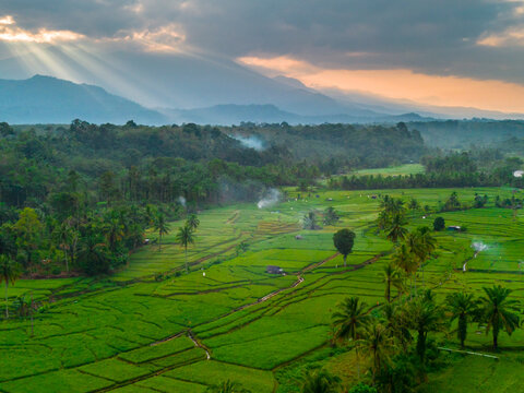 Aerial view of Taba Tembilang rice terraces surrounded by palm trees and lush vegetation under a dramatic sunset sky with sun rays in Arga Makmur, Bengkulu, Indonesia.