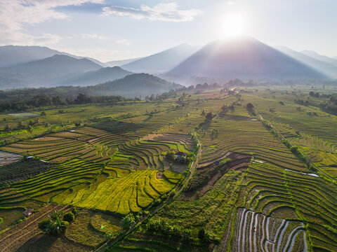 Aerial view of Kemumu rice terraces with lush green fields, rolling hills, and golden sunlight in Arma Jaya, Bengkulu, Indonesia.