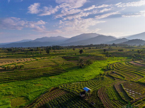 Aerial view of Kemumu rice terraces with lush green paddies, small huts, and distant mountains under a bright sky in Arma Jaya, Bengkulu, Indonesia.