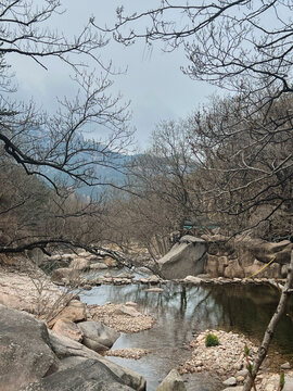 Mountain stream flowing through a rocky valley in the Laoshan Mountains, China, in early spring