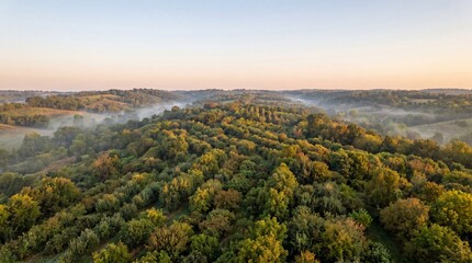 Fototapeta premium Aerial view of regenerative food forest system at sunrise with morning mist over rolling hills