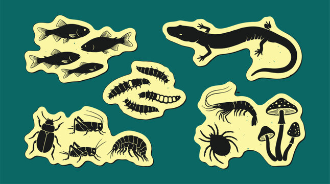 Bioluminescent deep cave creatures graphics assortment including blind fish salamanders glow worms subterranean insects rare underground organisms paper stickers