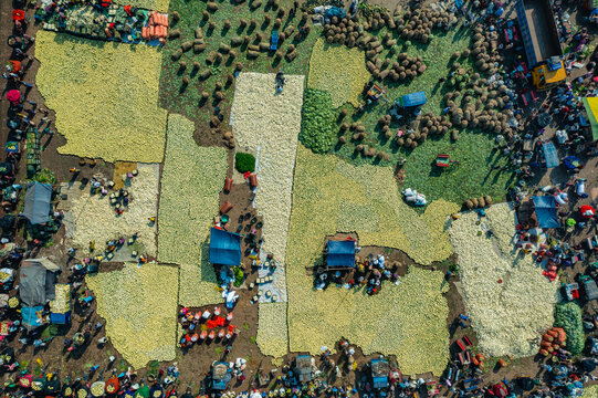 Aerial view of a bustling vegetable market with produce spread out on the ground in organized patches, with workers sorting and packing in Bogura, Rajshahi Division, Bangladesh.