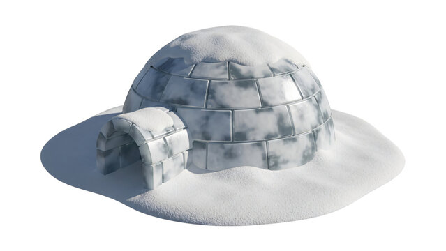 An igl in the snow with small igl on top igl.