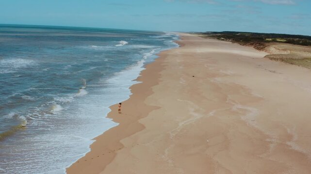 Aerial Landscape of Playa Garzon Beach: Ocean, Dunes, and Protected Nature Habitats