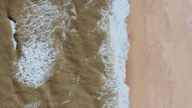 Stunning Aerial Drone Shots of Playa Garzon Beach Nature Habitat
