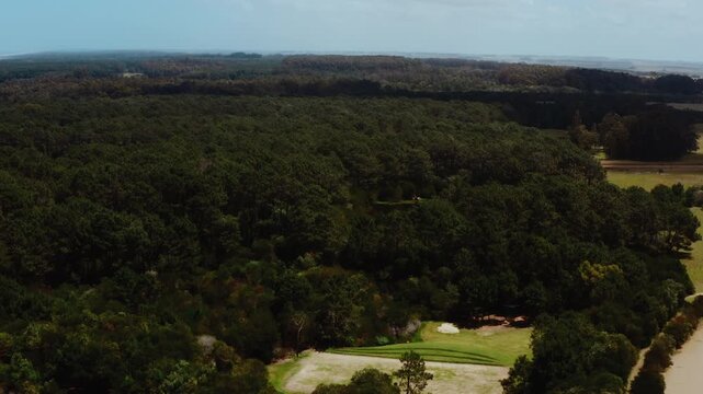 Coastal Forest Aerial Shot near Playa Garzon on the Atlantic Ocean Shoreline