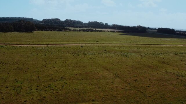 Drone shot of Lush Woodland Meets Ocean at Playa Garzon