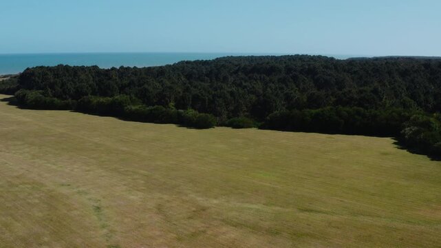 Panoramic Aerial View of Forest-to-Ocean Landscape, Playa Garzon