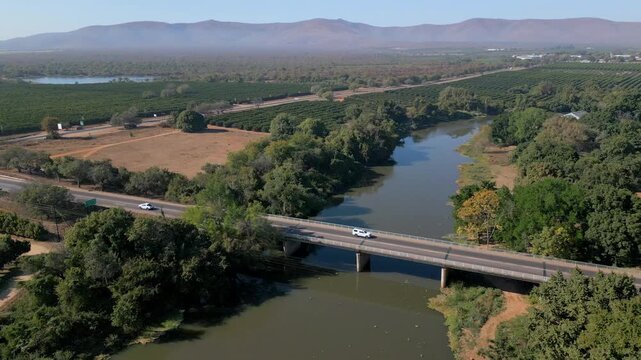 Cars cross a narrow rural bridge over a calm river beside a large avo orchard, viewed from a high drone flyover.